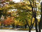 一山湖水公園內
DSCN1357