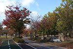 DSCN1359