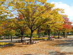 一山湖水公園內
DSCN1360