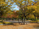 DSCN1361