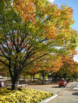 DSCN1372a