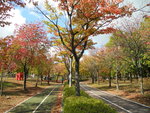 DSCN1375