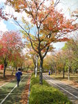 DSCN1376