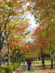 DSCN1378