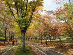 一山湖水公園內
DSCN1379