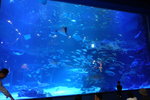 一山 Aqua Planet水族館內
DSCN1522
