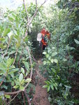 唔玩石可續山路上
DSCN9261