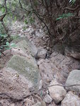 下降筆架山南坑左源, 中途一石面有箭咀指示往左
DSCN9796