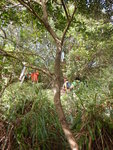 DSCN0139