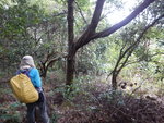 DSCN0140