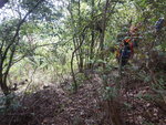 DSCN0141