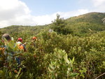 出林穿草叢上山
DSCN0151