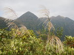 右望大金鐘(左)及彎曲山(右)
DSCN0152
