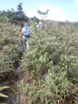 DSCN0153