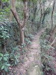 接古道, 黃竹山古道? 
DSCN0175