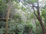 經廢村屋, 黃竹山廢村 ?
DSCN0176
