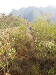 回望見剛才水牛山的落山脊路(右), 左是石芽山
DSCN0322