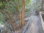 接落鐵梯
DSCN0336