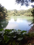 左望九龍水塘一角
DSCN0545