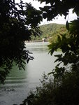 DSCN0546