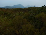 左望見蚺蛇尖(右)和大蚊山(中)
DSCN2031