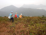 開始落山, 前望見大蚊山, 蚺蛇尖與東灣山, 左至右
DSCN2043