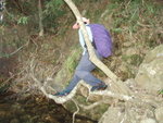 從右邊上上瀑頂, 要先過此樹幹棧道
P9266353