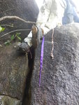 DSCN3132