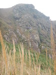 DSCN3311