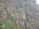 DSCN3324