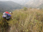 續上山
DSCN3409