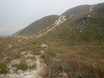 分岔路轉左, 右路上青山
DSCN3421