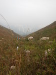 坳位轉右落山, 路跡隱約
DSCN3434