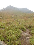 我晚上有飯局走先, 續落山
DSCN3441