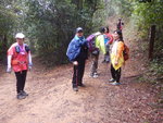 前可落烏蛟騰, 右上山火瞭望台及落降下坳
DSCN3915