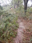 DSCN3927
