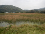DSCN3943