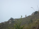 左望見一柱擎天, 又似元陽石
DSCN4172