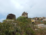 DSCN4185
