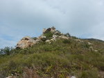 DSCN4186