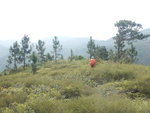 DSCN4190