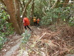 入林落山
DSCN4198