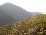 回頭望見孖崗山(左)和舂坎角山(右), 隱約見到舂坎角山頂的狗頭石
DSCN4312