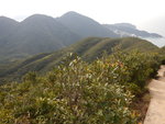 孖崗山和舂坎角山
DSCN4323
