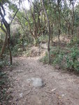 大隊轉左上山
DSCN4478