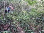 過坑口中途接左邊山路穿林上山
DSCN4545