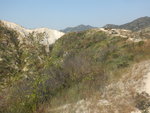 過青松紅壑不久見左邊谷中有一大石
DSCN5796