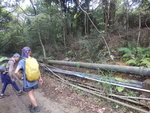 中途轉右跨水管接山路
DSCN6629