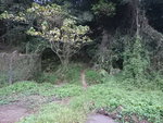回望山路出口位
DSCN6639