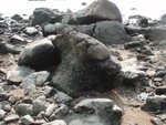 PA077075